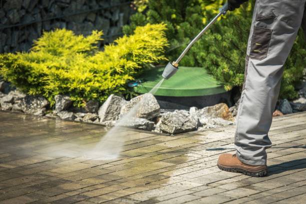 Best Dumpster Area Cleaning  in Holiday City South, NJ